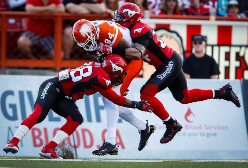 STAMPEDERS 44 LIONS 41 (OT)