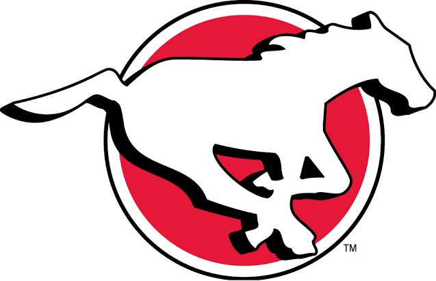 STAMPEDERS PLAYER KILLED