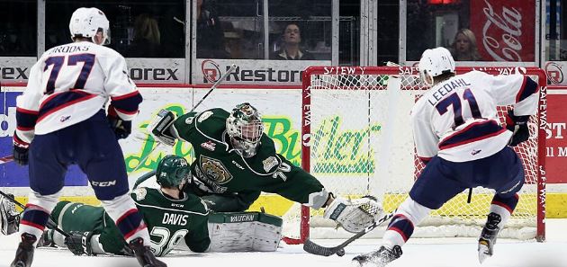 SILVERTIPS 4 PATS 2