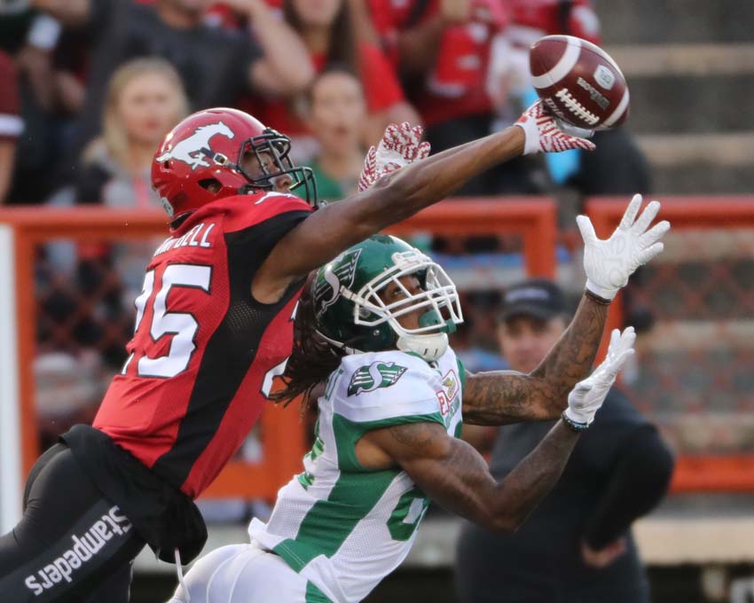 DOUBLE Z AG SALES PREVIEW: ROUGHRIDERS AT STAMPEDERS