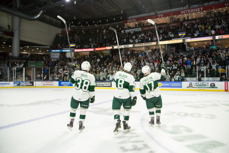 SILVERTIPS STAY ALIVE